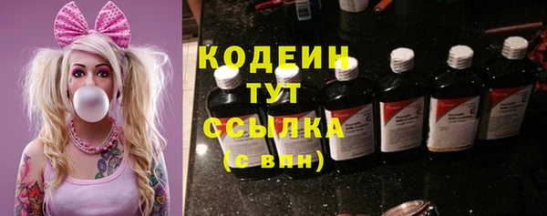 хмурый Арсеньев