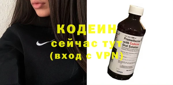 хмурый Арсеньев