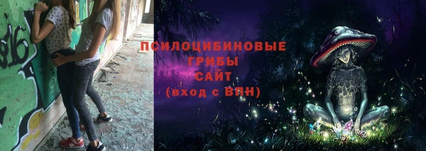 хмурый Арсеньев