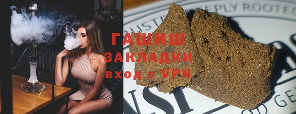 хмурый Арсеньев
