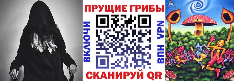 магазин    Холмск  Галлюциногенные грибы Psilocybine cubensis 